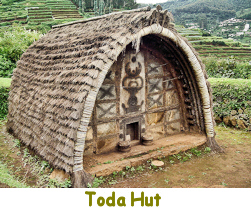Toda Hut