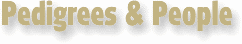 Sheila Jones Logo