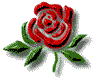 Rose of England and Lancashire